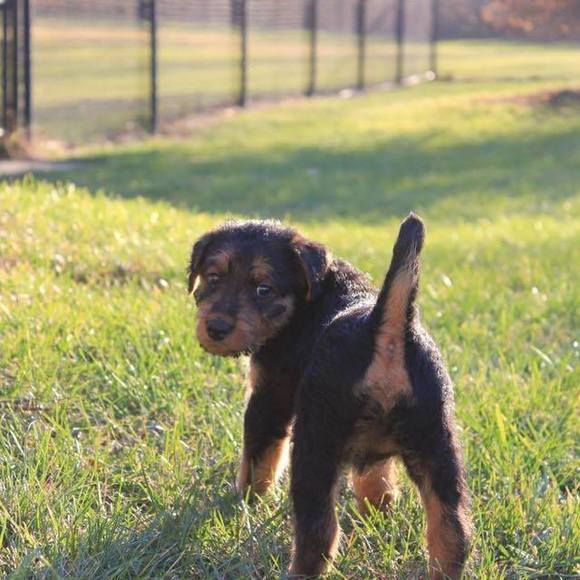 Meet your Posher, Lisa - Picture 1 of 1